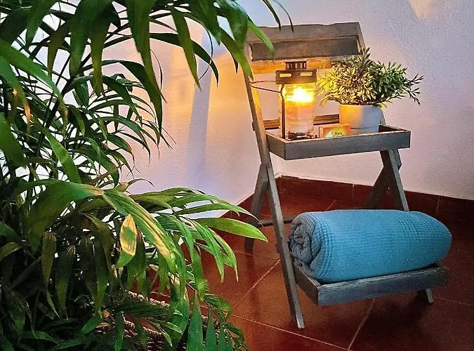 公寓 Brisas Penthouse By Sunhousescanarias