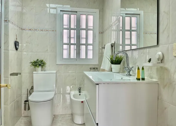 公寓 Brisas Penthouse By Sunhousescanarias 大加那利岛拉斯帕尔马斯